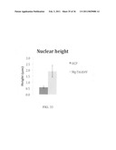 ELECTROCHEMICAL COUPLING OF METALLIC BIOMATERIAL IMPLANTS FOR BIOLOGICAL EFFECT diagram and image