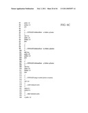 VIRTUAL PROTOTYPING AND TESTING FOR MEDICAL DEVICE DEVELOPMENT diagram and image