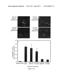 METHODS OF MODULATING THE ORGANIC SOLUTE AND STEROID TRANSPORTER (OSTalpha-OSTbeta) ACTIVITY AND TREATING ASSOCIATED CONDITIONS diagram and image