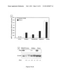 METHODS OF MODULATING THE ORGANIC SOLUTE AND STEROID TRANSPORTER (OSTalpha-OSTbeta) ACTIVITY AND TREATING ASSOCIATED CONDITIONS diagram and image