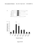 METHODS OF MODULATING THE ORGANIC SOLUTE AND STEROID TRANSPORTER (OSTalpha-OSTbeta) ACTIVITY AND TREATING ASSOCIATED CONDITIONS diagram and image