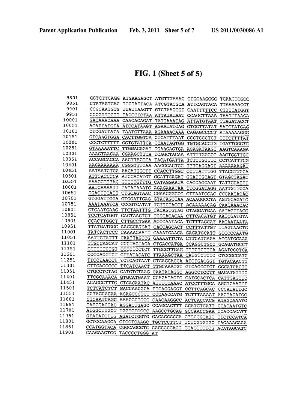 CORN EVENT DAS-59122-7 AND METHODS FOR DETECTION THEREOF - diagram, schematic, and image 06