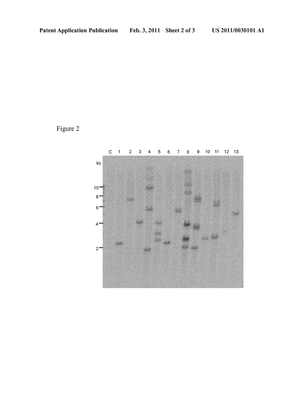 AGROBACTERIUM-MEDIATED METHOD FOR PRODUCING TRANSFORMED PLANT - diagram, schematic, and image 03