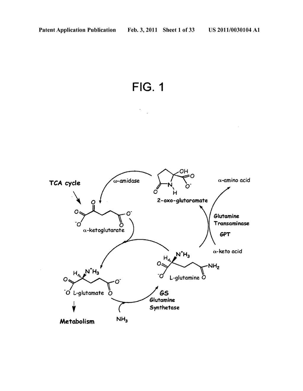 Nucleic acids encoding plant glutamine phenylpyruvate transaminase (GPT) and uses thereof - diagram, schematic, and image 02