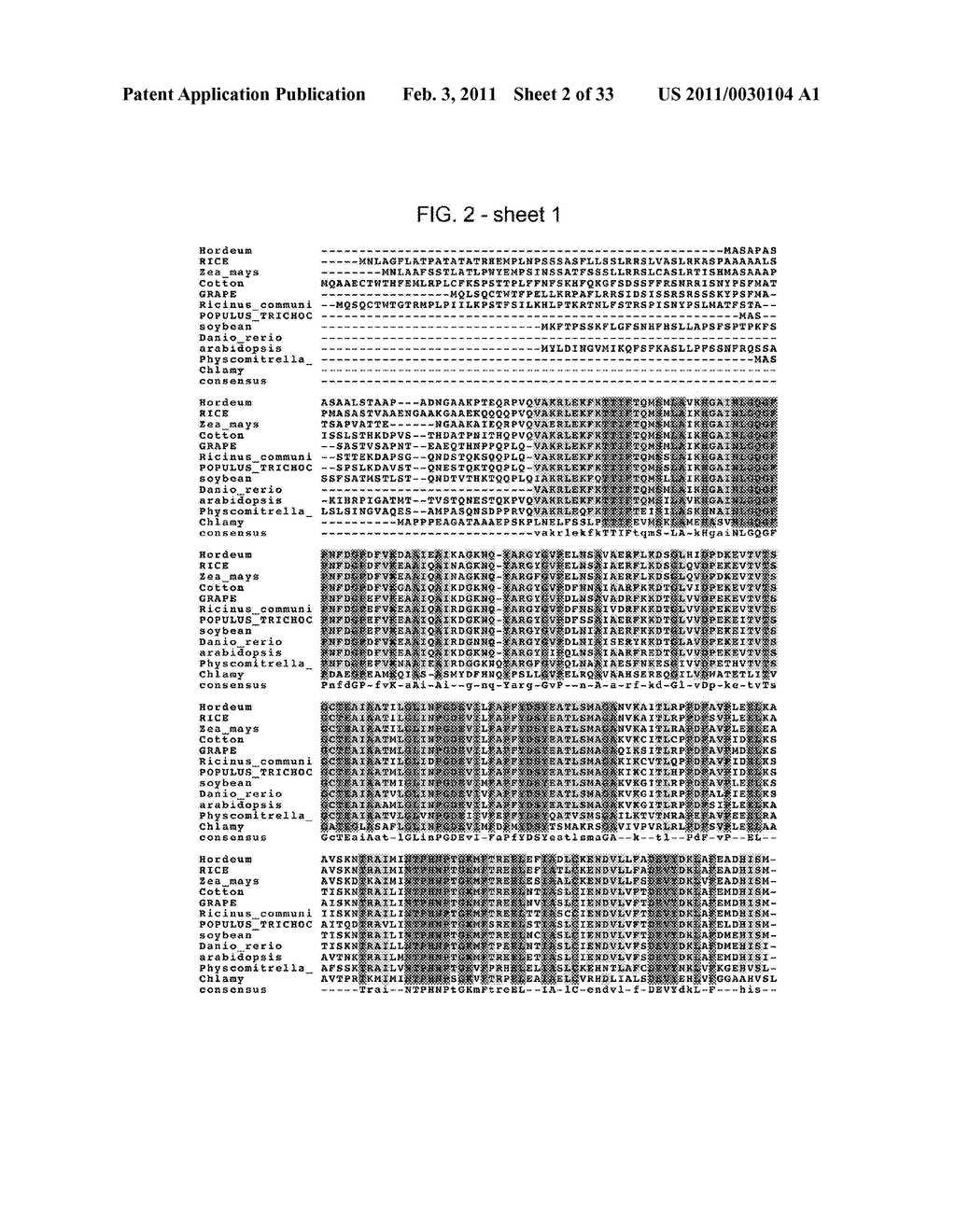 Nucleic acids encoding plant glutamine phenylpyruvate transaminase (GPT) and uses thereof - diagram, schematic, and image 03