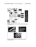 BIOREFINERY PRODUCTS IN STRUCTURAL MATERIALS diagram and image