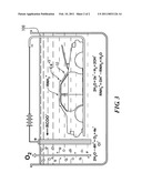 ELECTROCOATING PROCESS FOR MIXED-METAL AUTOMOTIVE BODIES-IN-WHITE diagram and image