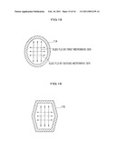 Microwave Irradiation System diagram and image