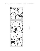 SYNTHESIS OF WATER-SOLUBLE ORGANIC NANOPARTICLES AS EPR STANDARD diagram and image