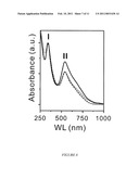 SYNTHESIS OF WATER-SOLUBLE ORGANIC NANOPARTICLES AS EPR STANDARD diagram and image