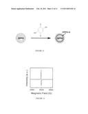SYNTHESIS OF WATER-SOLUBLE ORGANIC NANOPARTICLES AS EPR STANDARD diagram and image