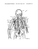 INTER-SCAPULAR BOLSTER diagram and image