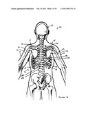 INTER-SCAPULAR BOLSTER diagram and image