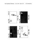 IMAGE PROCESSING APPARATUS AND METHOD FOR CONTROLLING THE SAME diagram and image