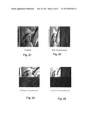  METHOD AND A SYSTEM FOR WAVELET BASED PROCESSING diagram and image