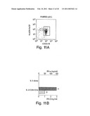 METHODS RELATED TO IMMUNOSTIMULATORY NUCLEIC ACID-INDUCED INTERFERON diagram and image