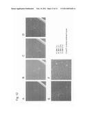 METHOD FOR ISOLATING SMOOTH MUSCLE STEM CELLS diagram and image