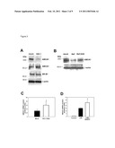 Treatment of HIV-1-infected individuals to reduce risk of coronary artery disease and suppress virus replication diagram and image