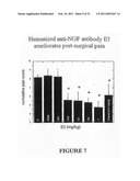 Methods for Treating Osteoarthritis Pain By Administering a Nerve Growth Factor Antagonist and Compositions Containing the Same diagram and image