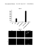 Inhibitors of LL-37 Mediated Immune Reactivity to Self Nucleic Acids diagram and image