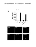 Inhibitors of LL-37 Mediated Immune Reactivity to Self Nucleic Acids diagram and image