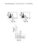 Human immune therapies using a CD27 agonist alone or in combination with other immune modulators diagram and image