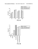 Human immune therapies using a CD27 agonist alone or in combination with other immune modulators diagram and image