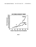 Methods For Treating Diseases Using Antibodies to Aminophospolipids diagram and image