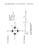 Methods For Treating Diseases Using Antibodies to Aminophospolipids diagram and image