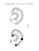 Methods For Treating Diseases Using Antibodies to Aminophospolipids diagram and image