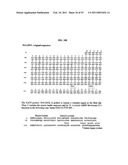 Methods For Treating Diseases Using Antibodies to Aminophospolipids diagram and image