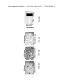 Methods For Treating Diseases Using Antibodies to Aminophospolipids diagram and image