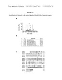 COMPOSITIONS AND METHODS COMPRISING A LIGAND OF CHEMERINR diagram and image
