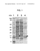 CANINE THYMIC STROMAL LYMPHOPOIETIN PROTEIN AND USES THEREOF diagram and image