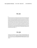 CANINE THYMIC STROMAL LYMPHOPOIETIN PROTEIN AND USES THEREOF diagram and image