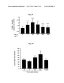 AGENTS AND METHODS FOR TREATMENT OF ANXIETY DISORDERS diagram and image