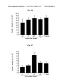 AGENTS AND METHODS FOR TREATMENT OF ANXIETY DISORDERS diagram and image