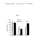 AGENTS AND METHODS FOR TREATMENT OF ANXIETY DISORDERS diagram and image