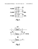 LIVE GENETICALLY ATTENUATED MALARIA VACCINE diagram and image