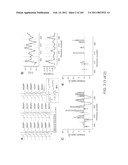 REAGENTS FOR INDUCING AN IMMUNE RESPONSE diagram and image