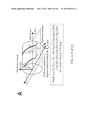 REAGENTS FOR INDUCING AN IMMUNE RESPONSE diagram and image