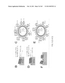 REAGENTS FOR INDUCING AN IMMUNE RESPONSE diagram and image