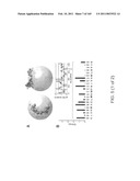 REAGENTS FOR INDUCING AN IMMUNE RESPONSE diagram and image