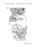 REAGENTS FOR INDUCING AN IMMUNE RESPONSE diagram and image