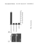 REAGENTS FOR INDUCING AN IMMUNE RESPONSE diagram and image