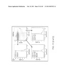 REAGENTS FOR INDUCING AN IMMUNE RESPONSE diagram and image