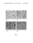 NANOPARTICLE CARRIERS FOR DRUG ADMINISTRATION AND PROCESS FOR PRODUCING SAME diagram and image