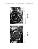 Polyethylene And Polypropylene Blends For Liquid Packaging Films diagram and image