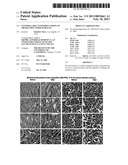 CONTROLLABLE NANOSTRUCTURING ON MICRO-STRUCTURED SURFACES diagram and image