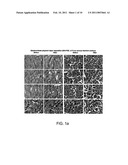 CONTROLLABLE NANOSTRUCTURING ON MICRO-STRUCTURED SURFACES diagram and image